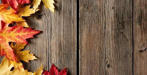 獨(dú)立站聯(lián)盟營銷流程